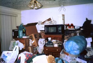 What my house looks like to me, pre-packout...