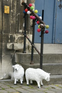 We are pretty sure that one sheep is actually a wolf in sheep's clothing.