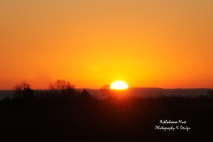 Watching the sun rise was definitely worth getting up and around and out into the cold. 